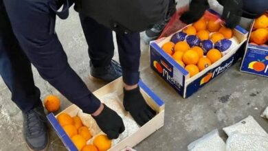 Photo of في السعودية.. ضبط 4.5 مليون قرص كبتاغون في شحنة برتقال