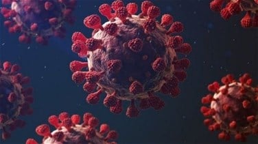 Photo of دراسة تكشف سر المناعة الفائقة من متحورات كورونا