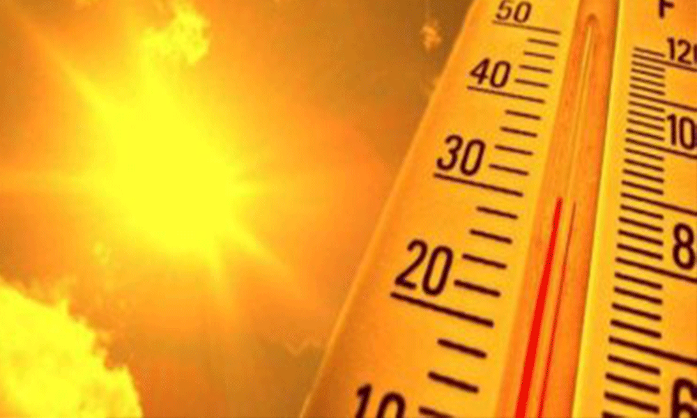 Photo of طقس حار في تموز… الحرارة إلى ارتفاع!