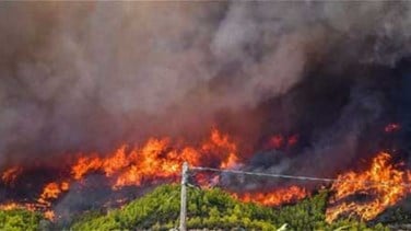 Photo of إهماد حريق في جبل بلدة ارزي