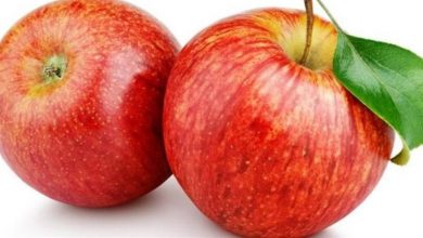 Photo of التفاح مصدر جيّد للفيتامين c ولا يحتوي على الدهون