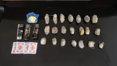 Photo of مخدرات في الباذنجان
