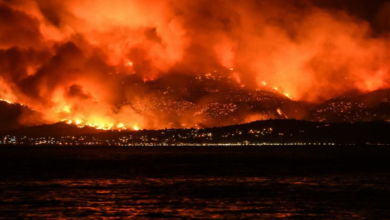 Photo of 26 حريقاً في غابات شمال الجزائر
